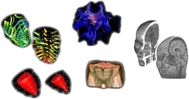 Division For Biomedical Imaging & Visualization (BIV)